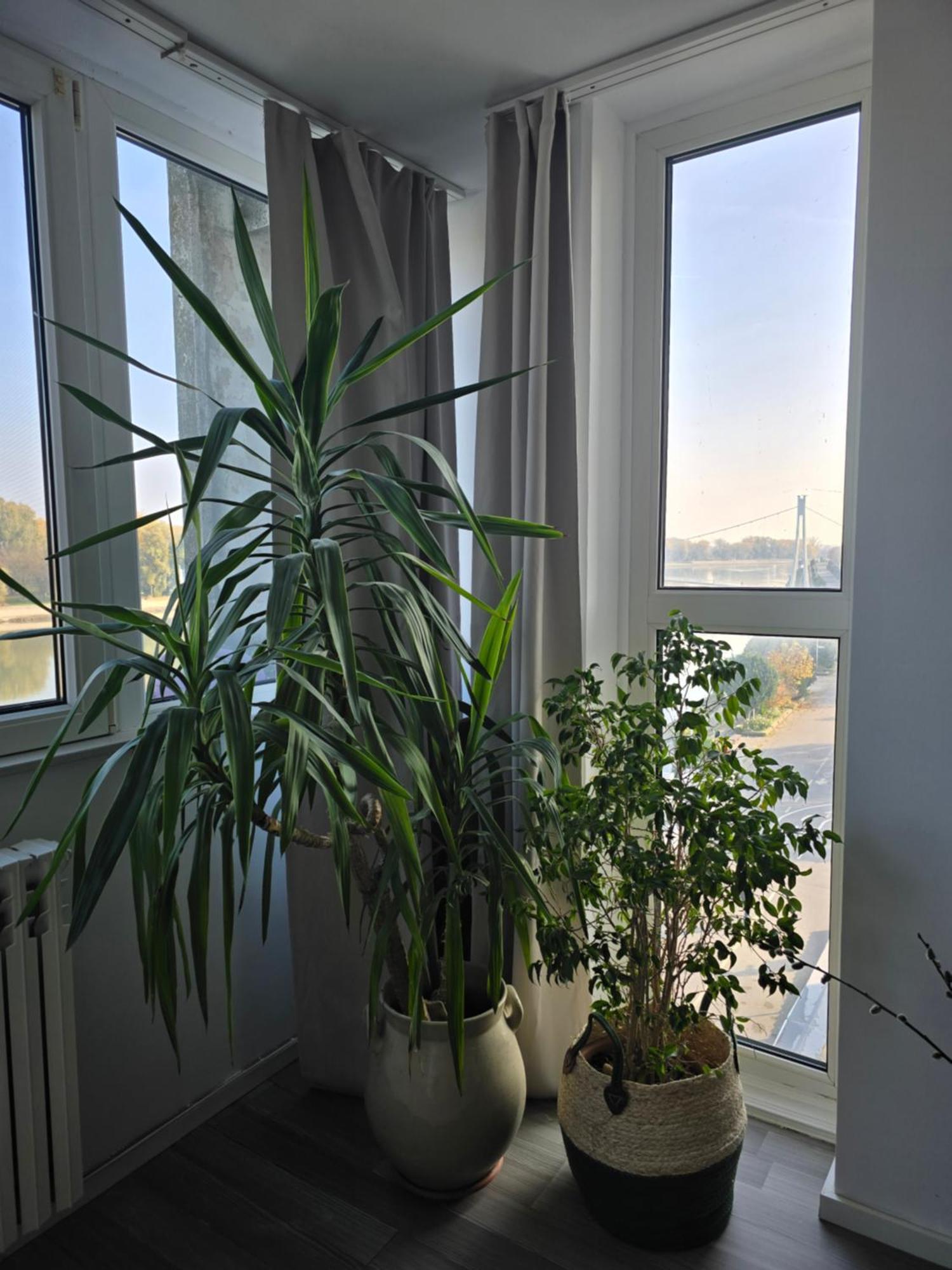 Riverview Apartment Osijek Bagian luar foto